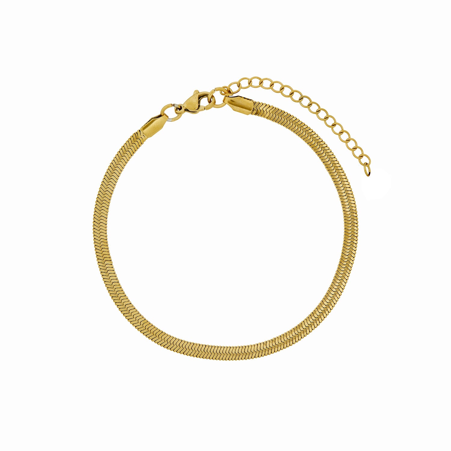 Snake Chain Anklet